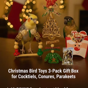 Set of 3- Handmade Christmas Bird Toys, Foraging, Swing, Cage